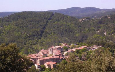 Investir au pays des cigales. Investir en Provence