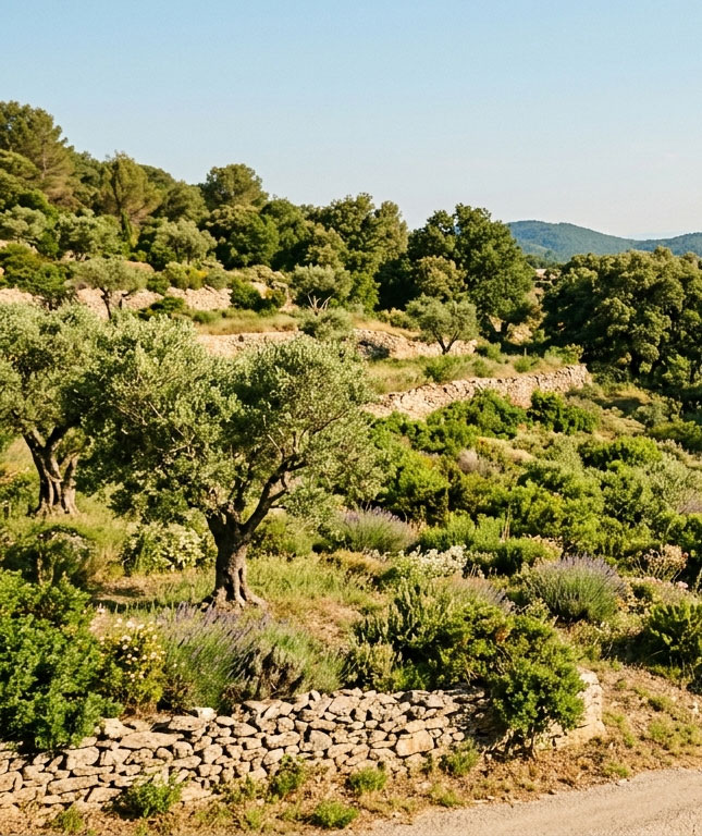 Village de Claviers 3 Estrella Groupe